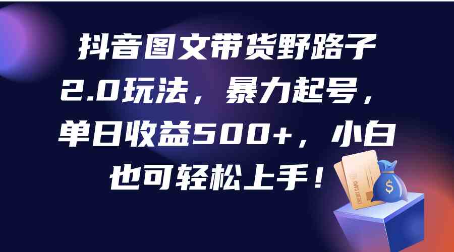 （9790期）抖音图文带货野路子2.0玩法，暴力起号，单日收益500+，小白也可轻松上手！-时笙的博客