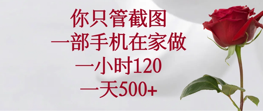 （14248期）你只管截图，一部手机在家做，一小时120，一天500+-时笙的博客