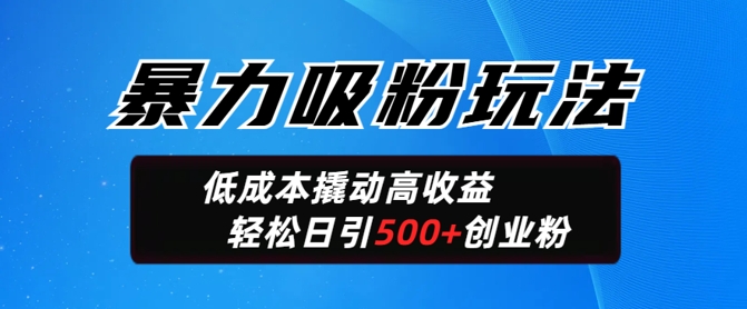 暴力吸粉玩法，日引500+精准创业粉，日变现轻松多张-时笙的博客