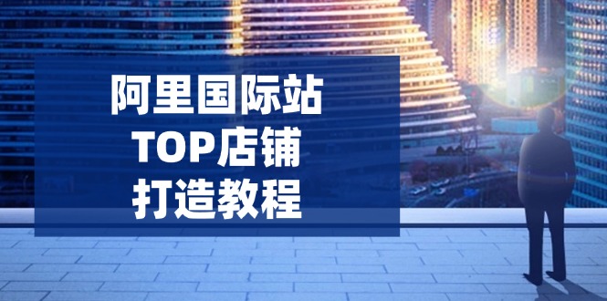 （14269期）阿里国际站TOP店铺打造教程：涵盖平台到高阶，解决运营难题，提升询盘-时笙的博客