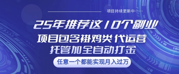 25年推荐这10个副业项目包含褂鸡类、代运营托管类、全自动打金类【揭秘】-时笙的博客