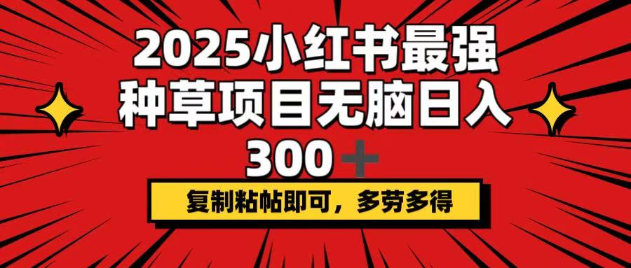 （14375期）2025小红书最强种草项目，无脑日入300+，复制粘帖即可，多劳多得-时笙的博客
