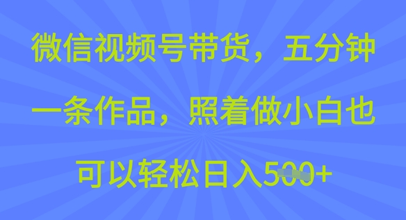 微信视频号带货，五分钟一条作品，照着做小白也可以轻松日入5张-时笙的博客