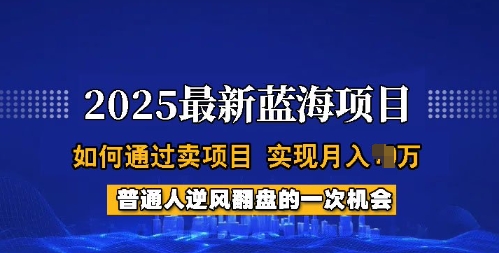 2025蓝海项目，普通人如何通过卖项目，实现月入过W，全过程【揭秘】-时笙的博客