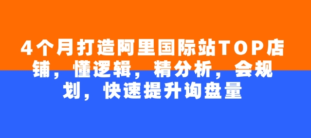 4个月打造阿里国际站TOP店铺，懂逻辑，精分析，会规划，快速提升询盘量-时笙的博客