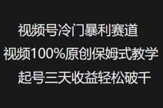 视频号冷门暴利赛道视频100%原创保姆式教学起号三天收益轻松破千-时笙的博客