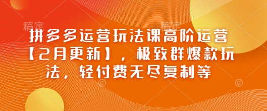 拼多多运营玩法课高阶运营【2月更新】，极致群爆款玩法，轻付费无尽复制等-时笙的博客