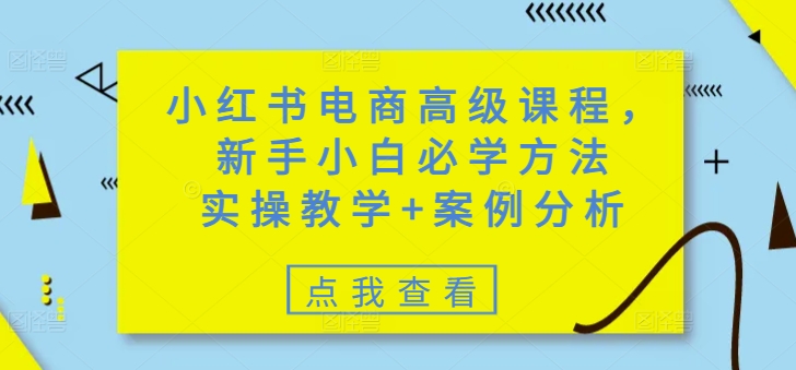 小红书电商高级课程，新手小白必学方法，实操教学+案例分析-时笙的博客