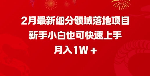 2月最新细分领域落地项目，新手小白也可快速上手，月入1W-时笙的博客