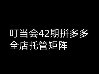 叮当会拼多多打爆班原创高阶技术第42期，拼多多全店托管矩阵-时笙的博客